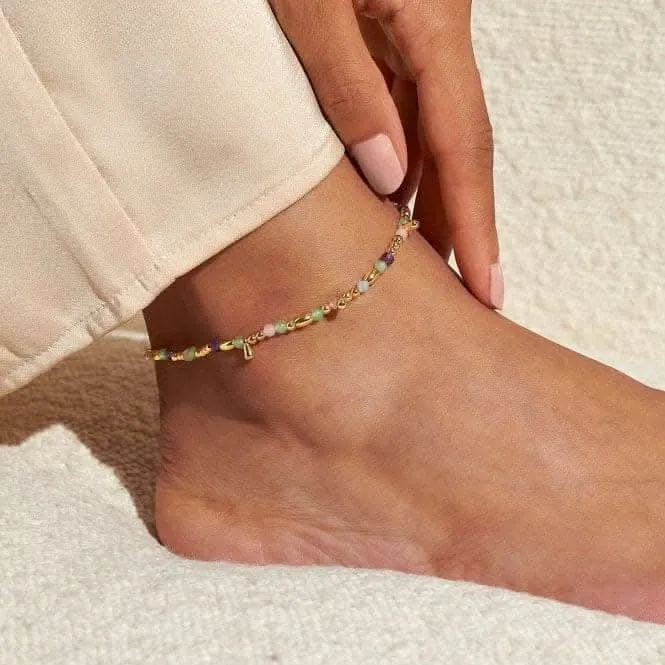 Anklet Multi Stone Gold Plated Anklet 23cm Stretch Anklet 6943 Joma Jewellery