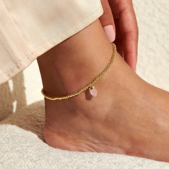 Anklet Rose Quartz Crystal Gold Plated Anklet 23cm Stretch Anklet 6945 Joma Jewellery