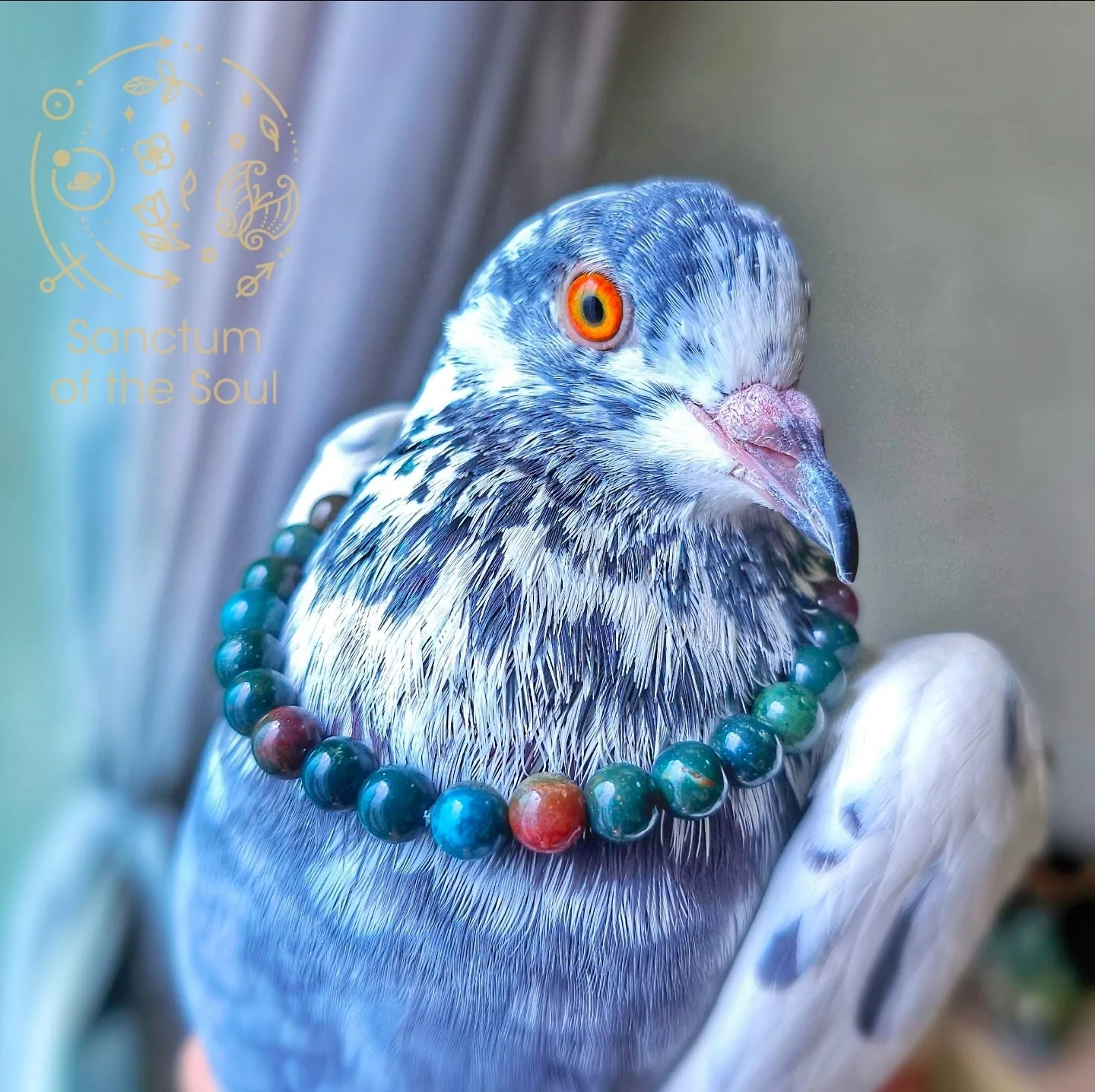 Heliotrope Bloodstone Bracelet