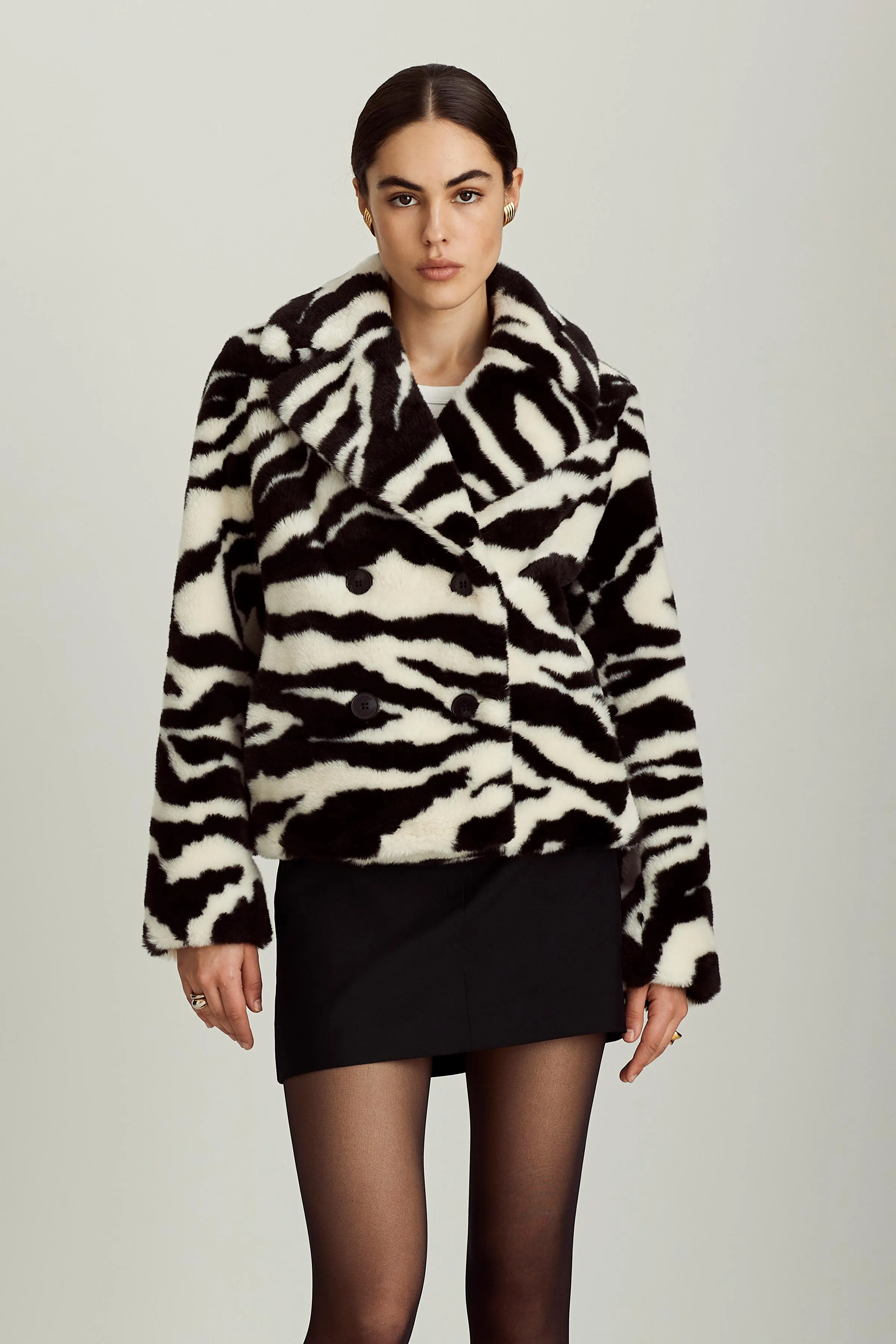 MADRID - ZEBRA