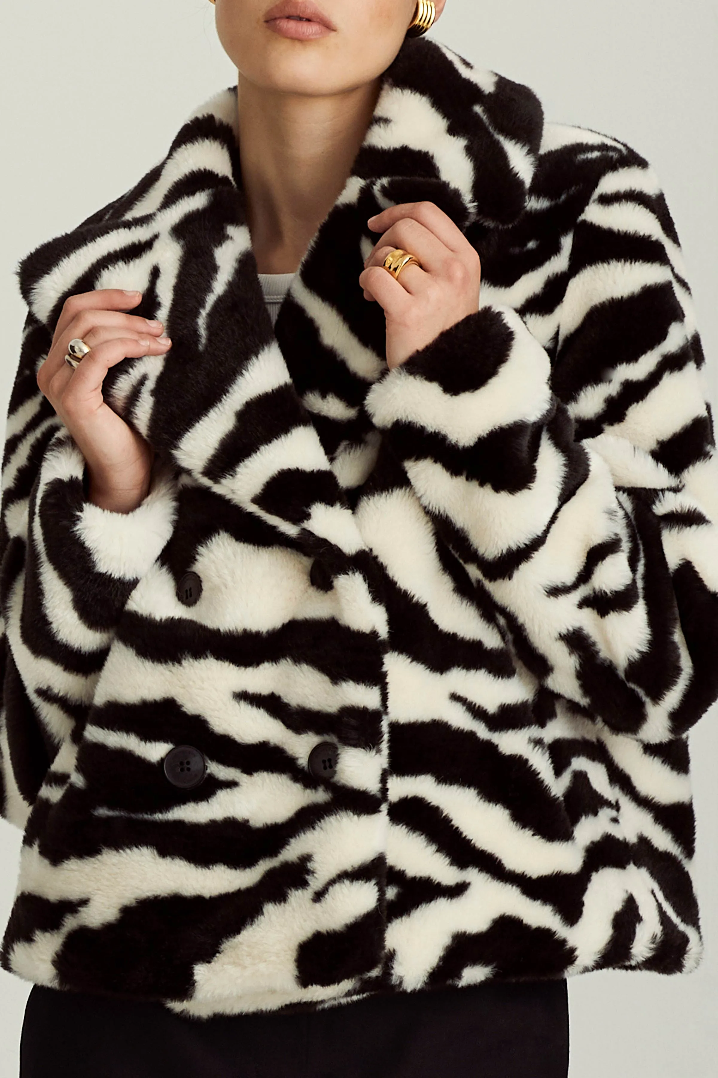 MADRID - ZEBRA